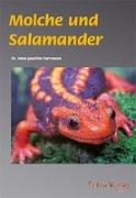Molche und Salamander