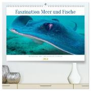 Faszination Meer und Fische (hochwertiger Premium Wandkalender 2024 DIN A2 quer), Kunstdruck in Hochglanz