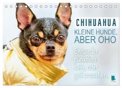 Chihuahua: Kleine Hunde, aber oho (Tischkalender 2024 DIN A5 quer), CALVENDO Monatskalender