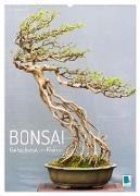 Bonsai: Gartenkunst im Kleinen (Wandkalender 2024 DIN A2 hoch), CALVENDO Monatskalender