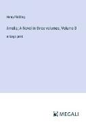 Amelia, A Novel in three volumes, Volume 3