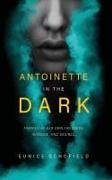 Antoinette in the Dark: Trapped by Her Own Fantasies, Intrigue, and Desires