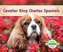 Cavalier King Charles Spaniels