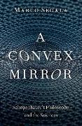 A Convex Mirror
