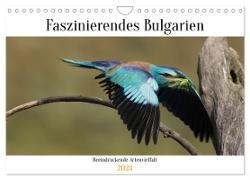 Faszinierendes Bulgarien (Wandkalender 2024 DIN A4 quer), CALVENDO Monatskalender