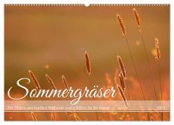 Sommergräser (Wandkalender 2024 DIN A2 quer), CALVENDO Monatskalender