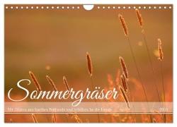 Sommergräser (Wandkalender 2024 DIN A4 quer), CALVENDO Monatskalender