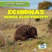 Echidnas Sense Electricity!