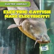 Electric Catfish Make Electricity!
