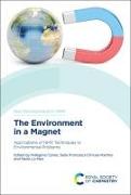 The Environment in a Magnet