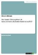 Der Soziale Trainingskurs als unrechtsverdeutlichende Sanktion im JGG?