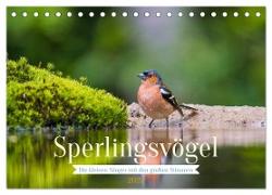 Sperlingsvögel - Die kleinen Sänger mit den großen Stimmen (Tischkalender 2024 DIN A5 quer), CALVENDO Monatskalender