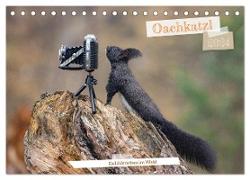 Oachkatzl (Tischkalender 2024 DIN A5 quer), CALVENDO Monatskalender