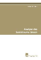 Analyse des Sozialraums Liezen