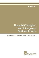 Financial Contagion and Intra-group Spillover Effects