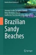 Brazilian Sandy Beaches