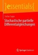 Stochastische partielle Differentialgleichungen