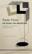 An Essay on Negation