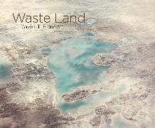 David T. Hanson: Waste Land