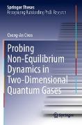 Probing Non-Equilibrium Dynamics in Two-Dimensional Quantum Gases