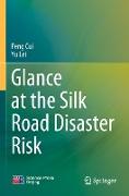 Glance at the Silk Road Disaster Risk