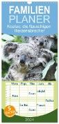 Familienplaner 2024 - Koalas: die flauschigen Herzensbrecher mit 5 Spalten (Wandkalender, 21 x 45 cm) CALVENDO