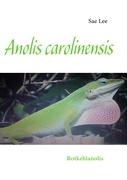 Anolis carolinensis