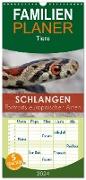 Familienplaner 2024 - Schlangen - Portraits europäischer Arten mit 5 Spalten (Wandkalender, 21 x 45 cm) CALVENDO