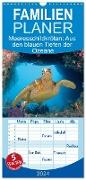 Familienplaner 2024 - Meeresschildkröten: Aus den blauen Tiefen der Ozeane mit 5 Spalten (Wandkalender, 21 x 45 cm) CALVENDO