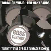 TOO MUCH MUSIC,TOO MANY BANDS