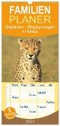 Familienplaner 2024 - Geparden - Begegnungen in Afrika mit 5 Spalten (Wandkalender, 21 x 45 cm) CALVENDO