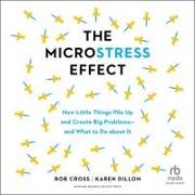 The Microstress Effect: How Little Things Pile Up and Create Big Problems--And What to Do about It