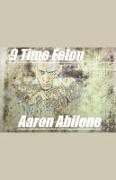 9 Time Felon