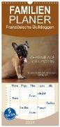 Familienplaner 2024 - Charme auf vier Pfoten - Französische Bulldoggen Portraits mit 5 Spalten (Wandkalender, 21 x 45 cm) CALVENDO