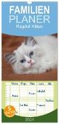 Familienplaner 2024 - Ragdoll Kitten mit 5 Spalten (Wandkalender, 21 x 45 cm) CALVENDO