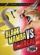 Black Mamba vs. Caracal