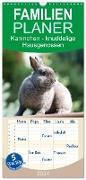 Familienplaner 2024 - Kaninchen - knuddelige Hausgenossen mit 5 Spalten (Wandkalender, 21 x 45 cm) CALVENDO