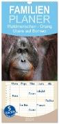 Familienplaner 2024 - Waldmenschen - Orang Utans auf Borneo mit 5 Spalten (Wandkalender, 21 x 45 cm) CALVENDO