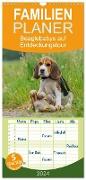 Familienplaner 2024 - Beaglebabys auf Entdeckungstour mit 5 Spalten (Wandkalender, 21 x 45 cm) CALVENDO