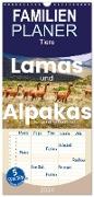 Familienplaner 2024 - Lamas und Alpakas - Die weichen Neuweltkamele. mit 5 Spalten (Wandkalender, 21 x 45 cm) CALVENDO