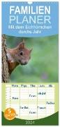 Familienplaner 2024 - Mit dem Eichhörnchen durchs Jahr mit 5 Spalten (Wandkalender, 21 x 45 cm) CALVENDO