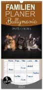 Familienplaner 2024 - Bullymania - Französische Bulldoggen mit 5 Spalten (Wandkalender, 21 x 45 cm) CALVENDO