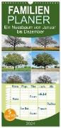 Familienplaner 2024 - Ein Nussbaum von Januar bis Dezember mit 5 Spalten (Wandkalender, 21 x 45 cm) CALVENDO