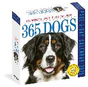 365 Dogs Page-A-Day Calendar 2025