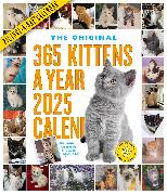 365 Kittens-A-Year Picture-A-Day Wall Calendar 2025