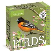 Audubon Birds Page-A-Day Calendar 2025