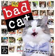 Bad Cat Wall Calendar 2025