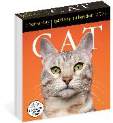 Cat Page-A-Day Gallery Calendar 2025