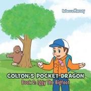 COLTON'S POCKET DRAGON Book 2