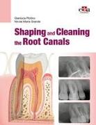 Shaping and Cleaning the Root Canal System